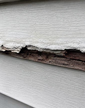 signs of rot on siding
