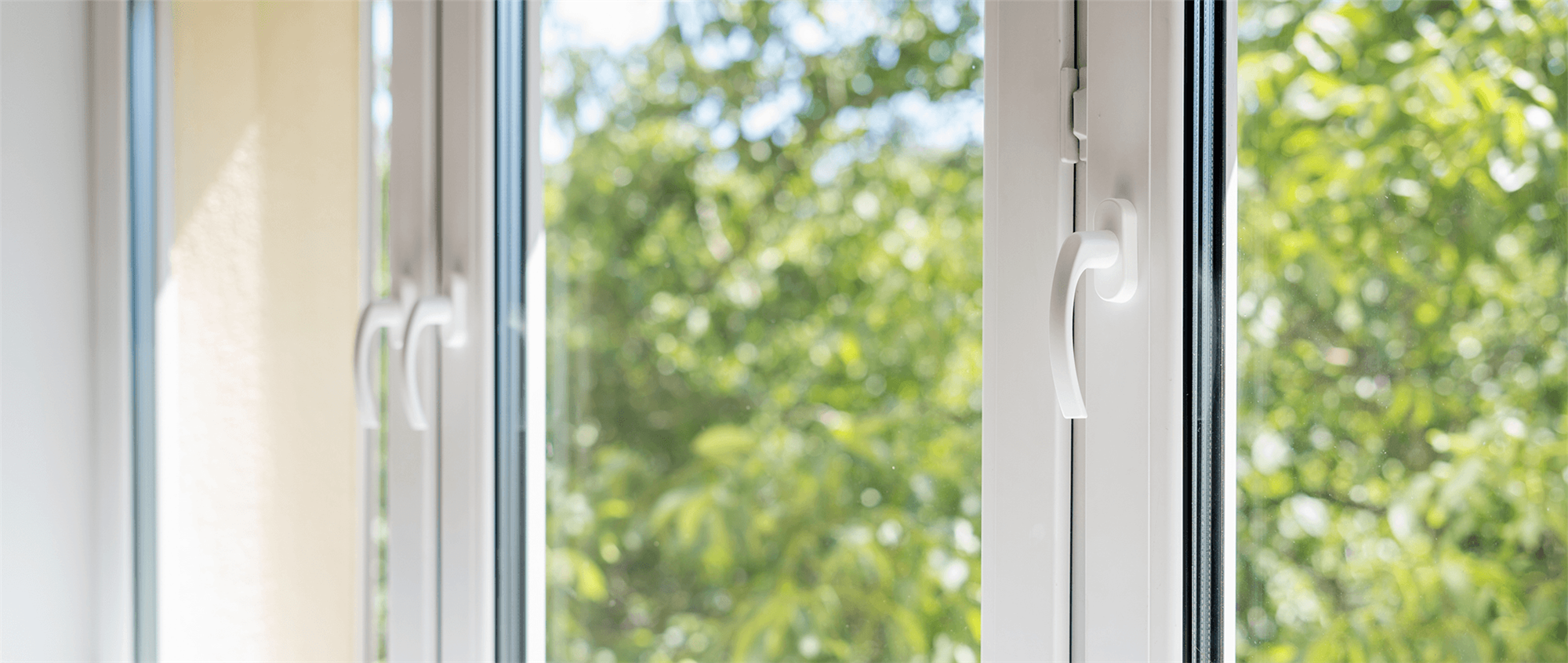 close up view of windows from Skywalker