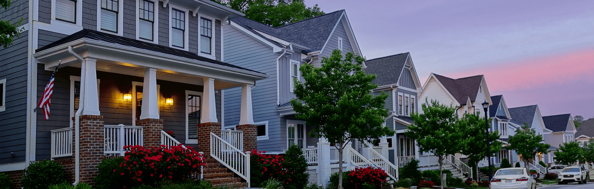 homes in a residential neighborhood