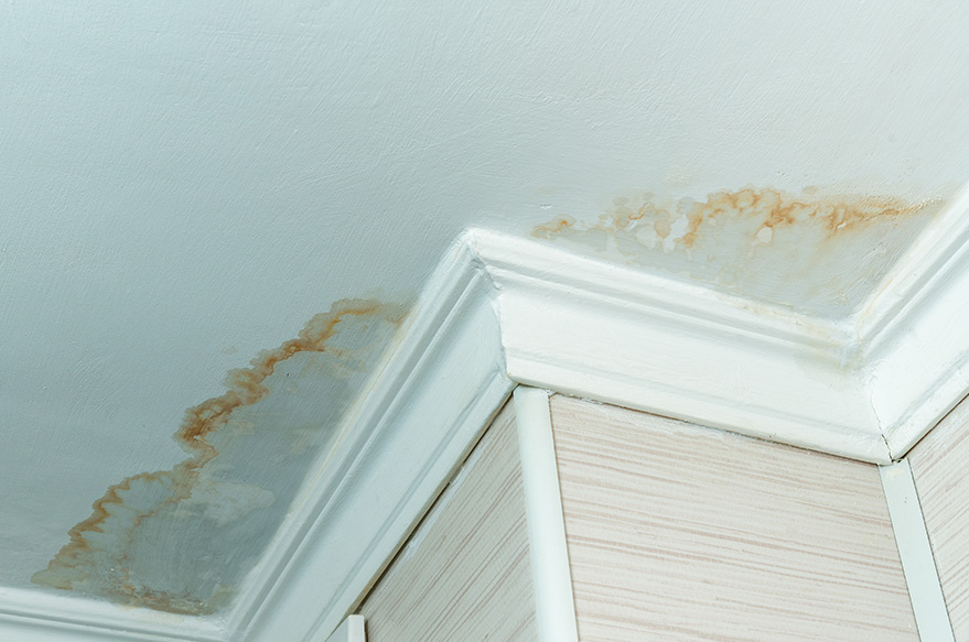 Ceiling showing signs of a roof leak