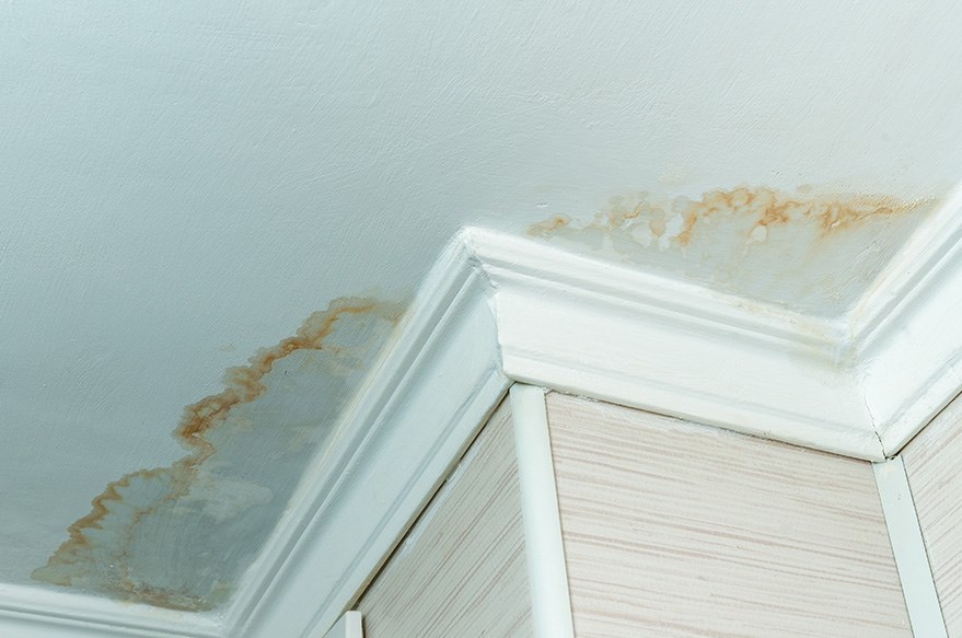 wet ceiling from roof leak