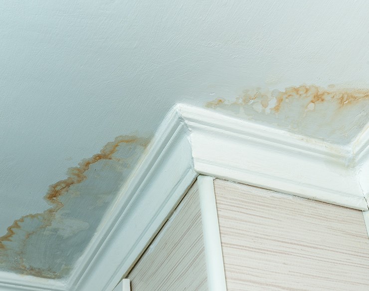 Roof leak impacting a ceiling
