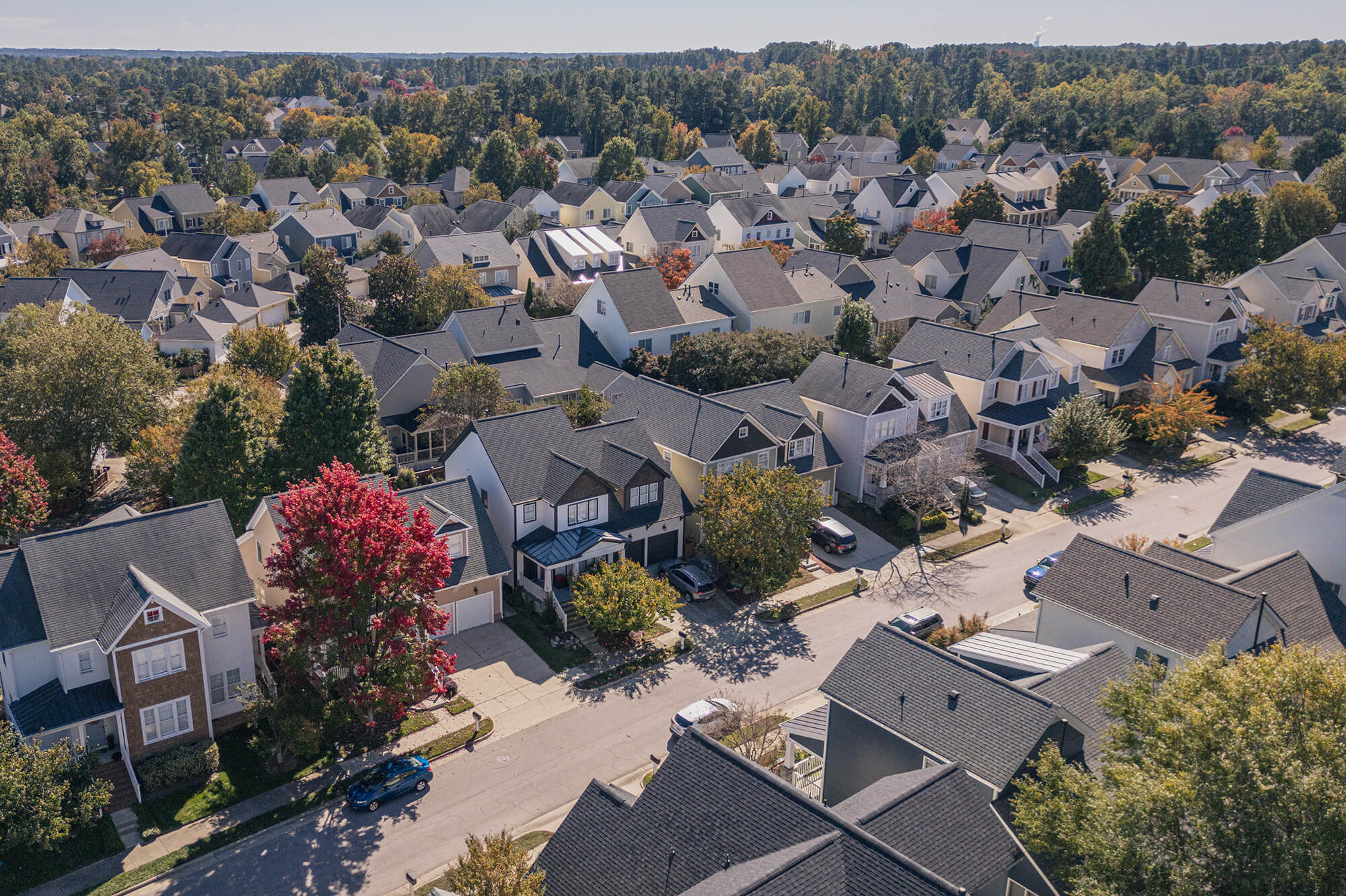 many homes in a neighborhood