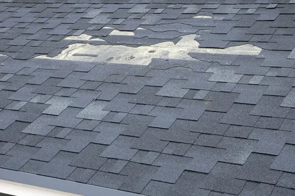 Warning Signs for Roof Repair and Replacement