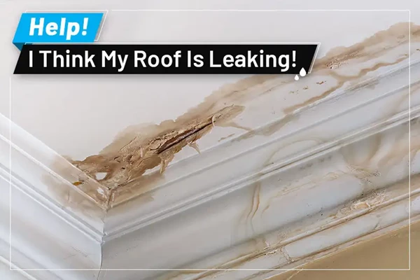 Help! I Think My Roof Is Leaking!