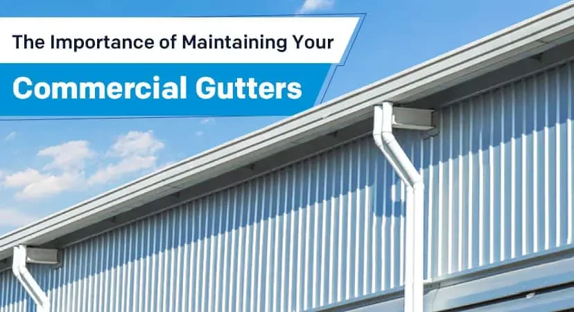 Skywalker Windows and Siding