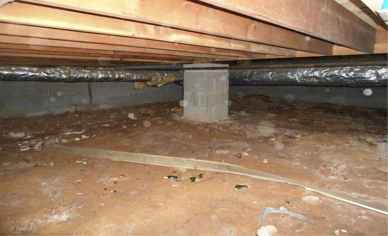 Basement & Crawl Space