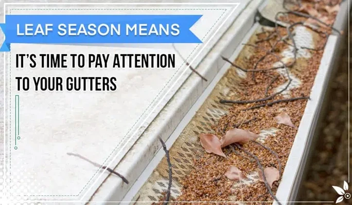 Skywalker Windows and Siding