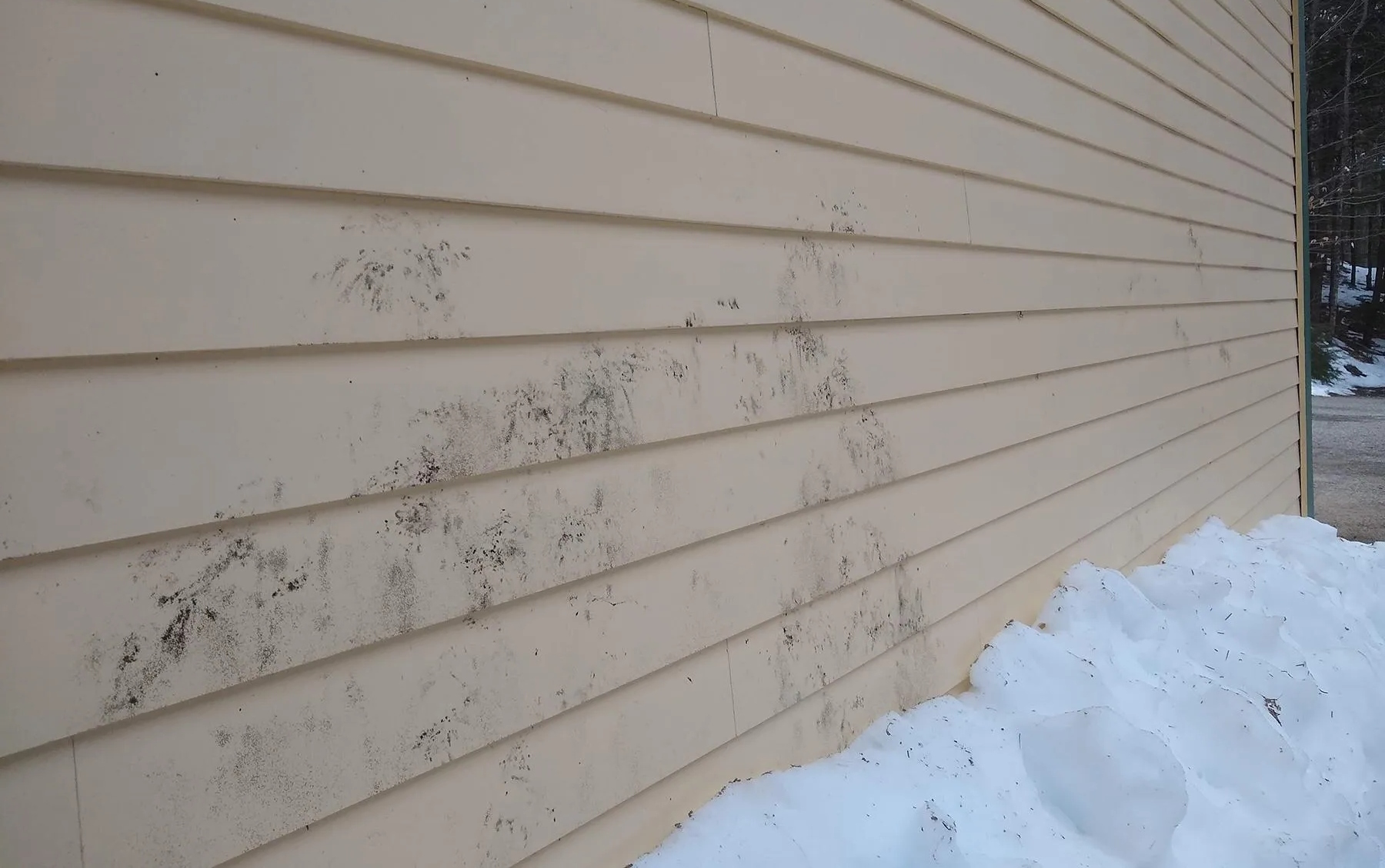siding in winter